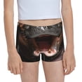 thumbnail image 1 of Pofeuu Playful Baby Hippo Splash Print Soft Cotton Girls Boyshort panties Toddler Underwear-Medium, 1 of 5