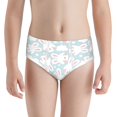 thumbnail image 1 of Pofeuu Rabbit And Star Print Boy's Briefs Toddler Boys' Underwear, Organic Cotton, Comfort Briefs-Medium, 1 of 7