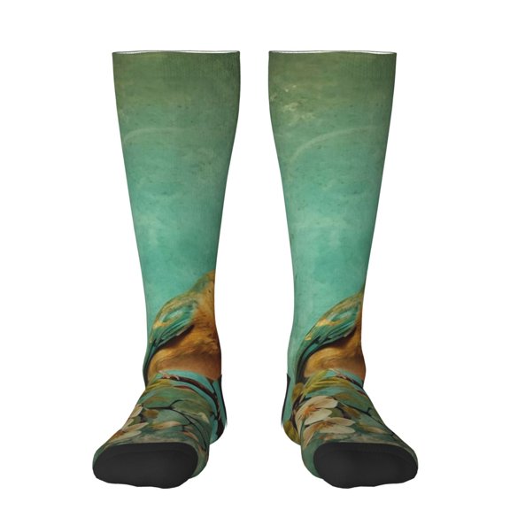 Pofeuu Retro Birds Print Stockings, Adult Running Hiking Socks for Youth and Adult