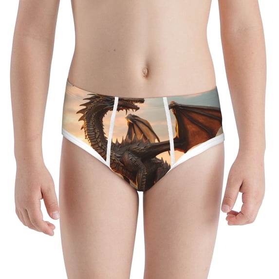 Pofeuu Sky Sunset Bronze Dragon Print Boy's Briefs Toddler Boys' Underwear, Organic Cotton, Comfort Briefs-X-Small