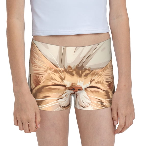 Pofeuu Sleeping Cat In Blanket Print Soft Cotton Girls Boyshort panties Toddler Underwear-Large
