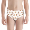 thumbnail image 1 of Pofeuu Squirrel And Rose Print Boy's Briefs Toddler Boys' Underwear, Organic Cotton, Comfort Briefs-Small, 1 of 7