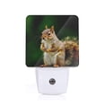 thumbnail image 1 of Pofeuu Squirrels Eating Peanuts On The Tree Print Night Lights Plug into Wall with Dusk-to-Dawn Light Sensor, LED Nightlight for Bathroom, Adult, Hallway-EU, 1 of 7