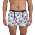 thumbnail image 1 of Pofeuu Strawberry And Flowers Print Men’s Boxer Briefs, Moisture-Wicking Underwear, Regular,Trunk-Large, 1 of 5