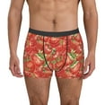 thumbnail image 1 of Pofeuu Strawberry Print Men’s Boxer Briefs, Moisture-Wicking Underwear, Regular,Trunk-XX-Large, 1 of 5
