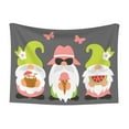 thumbnail image 1 of Pofeuu Summer Gnome 1 Print Puppy Blanket,Dog Blankets,Pet Blanket Cozy Cat Blankets for Indoor Cats, Fuzzy Pet Blanket for Kitten Doggy Dog Blankets-Medium, 1 of 8
