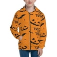 thumbnail image 1 of Pofeuu Trick Or Treat Print Teenage Zipper Hoodie Sweatshirts Hooded Casual Jackets With Pocket For Boys Girls-Small, 1 of 6