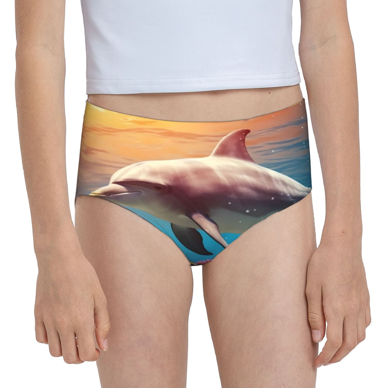 Funny Bottlenose Dolphin Women's Underwear - Cotton Briefs With Cute Dolphin Print, Comfortable Everyday Panties