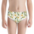 thumbnail image 1 of Pofeuu Watercolor Bright Sunflowers Print Boy's Briefs Toddler Boys' Underwear, Organic Cotton, Comfort Briefs-Small, 1 of 7