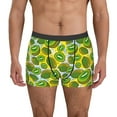 thumbnail image 1 of Pofeuu Watercolor Kiwi Fruits Summer Print Men’s Boxer Briefs, Moisture-Wicking Underwear, Regular,Trunk-Medium, 1 of 5