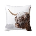 thumbnail image 1 of Pofeuu Yak Print Double-sided plush pillowcase Square Throw Pillow Covers Pillows Cover for Living Room Bedroom Sofa Couch Cushion Cover（No pillow core）-22"x22", 1 of 7