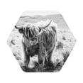 thumbnail image 1 of Pofeuu Yak Print Leather Coasters Set of 6, Round Cups Mugs Mat Pad for Home Kitchen Heat Resistant Drink Coasters,Hexagon, 1 of 7
