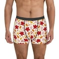 thumbnail image 1 of Pofeuu fall laef Maple Print Men’s Boxer Briefs, Moisture-Wicking Underwear, Regular,Trunk-Small, 1 of 5