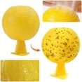 Pohot Fruit Fly Traps Sticky Fruit Fly Trap Ball Multifunction Fruit