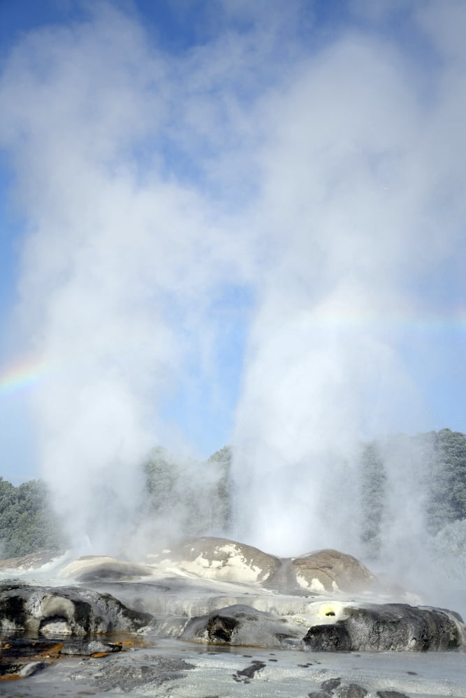 Pohutu and Prince of Wales Feathers Geyser Whakarewarewa Rotorua New Zealand Canvas Art - Richard RoscoeStocktrek Images (12 x 18)