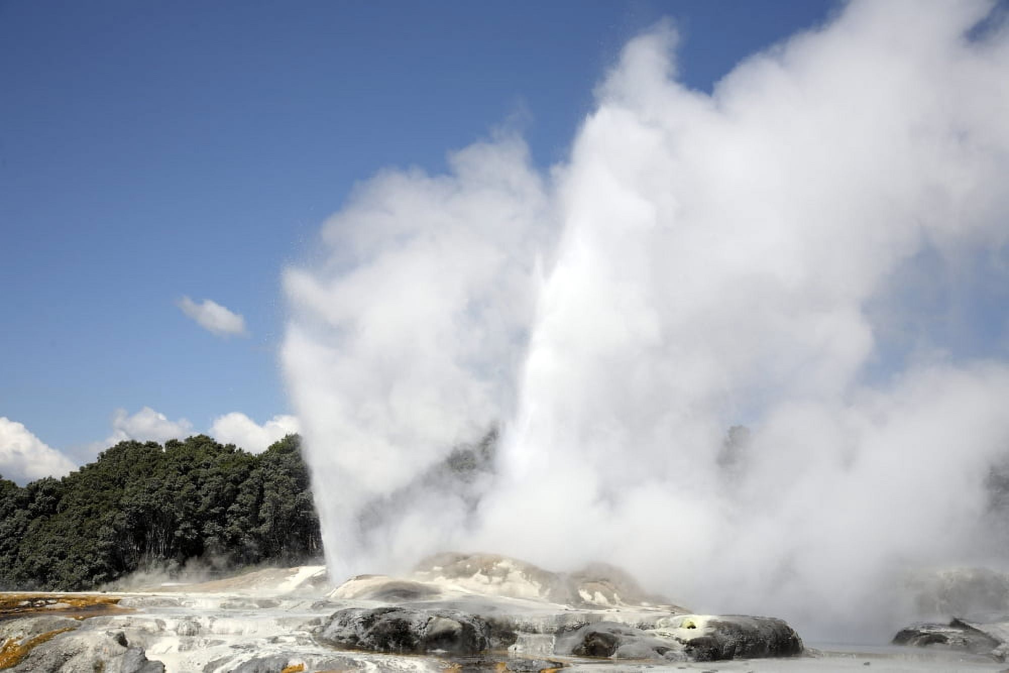Pohutu and Prince of Wales Feathers Geyser Whakarewarewa Rotorua New Zealand Canvas Art - Richard RoscoeStocktrek Images (18 x 12)
