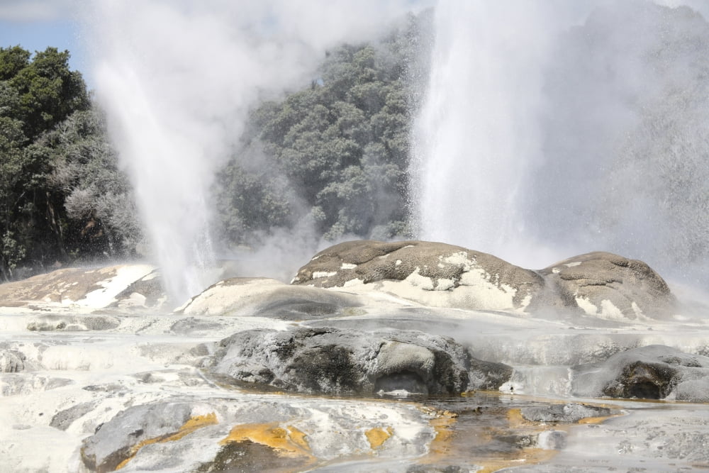 Pohutu and Prince of Wales Feathers Geyser Whakarewarewa Rotorua New Zealand Canvas Art - Richard RoscoeStocktrek Images (18 x 12)