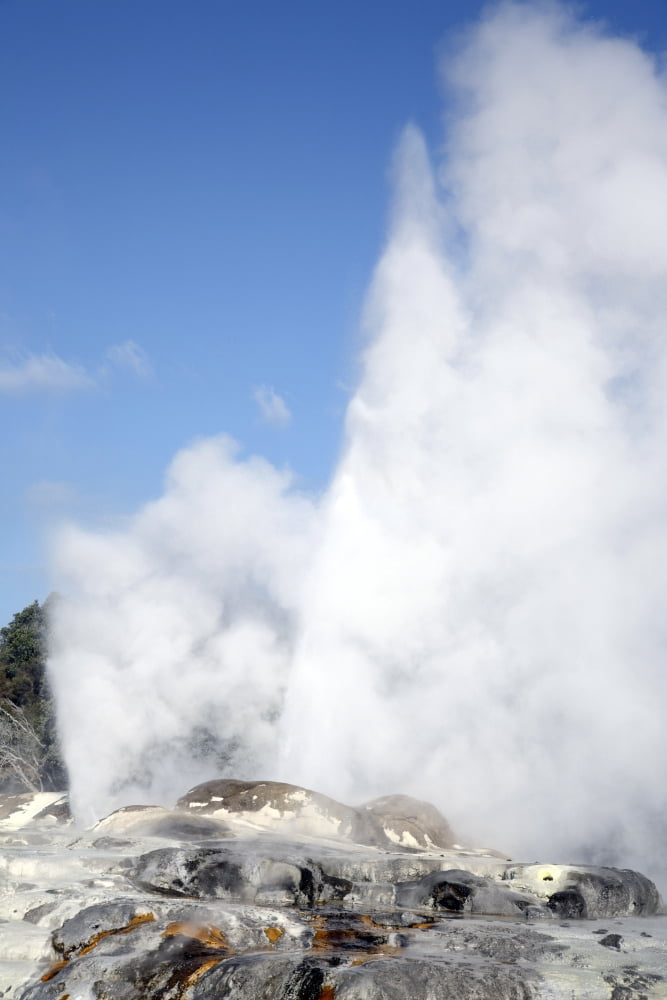 Pohutu and Prince of Wales Feathers Geyser Whakarewarewa Rotorua New Zealand Canvas Art - Richard RoscoeStocktrek Images (23 x 35)
