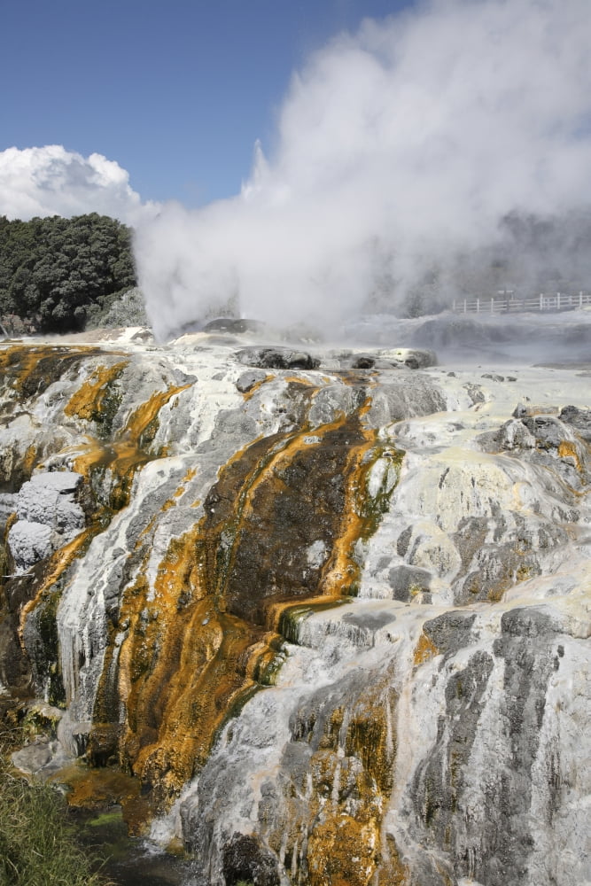 Pohutu and Prince of Wales Feathers Geyser Whakarewarewa Rotorua New Zealand Canvas Art - Richard RoscoeStocktrek Images (23 x 35)