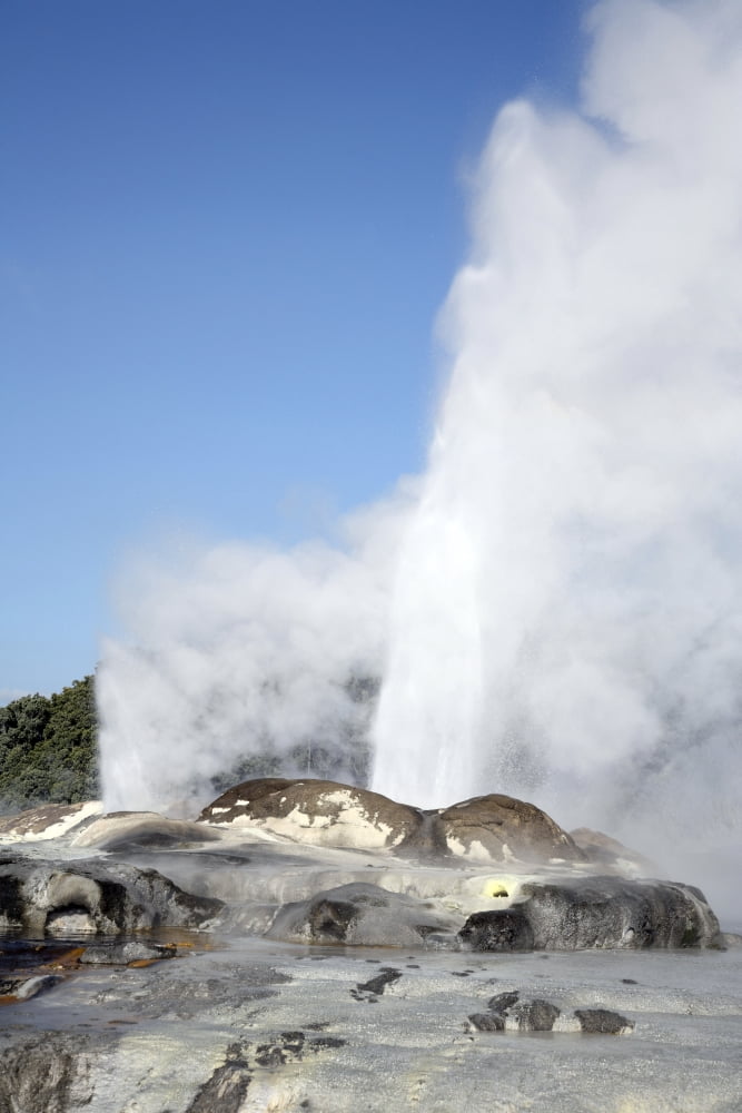 Pohutu and Prince of Wales Feathers Geyser Whakarewarewa Rotorua New Zealand Canvas Art - Richard RoscoeStocktrek Images (23 x 35)