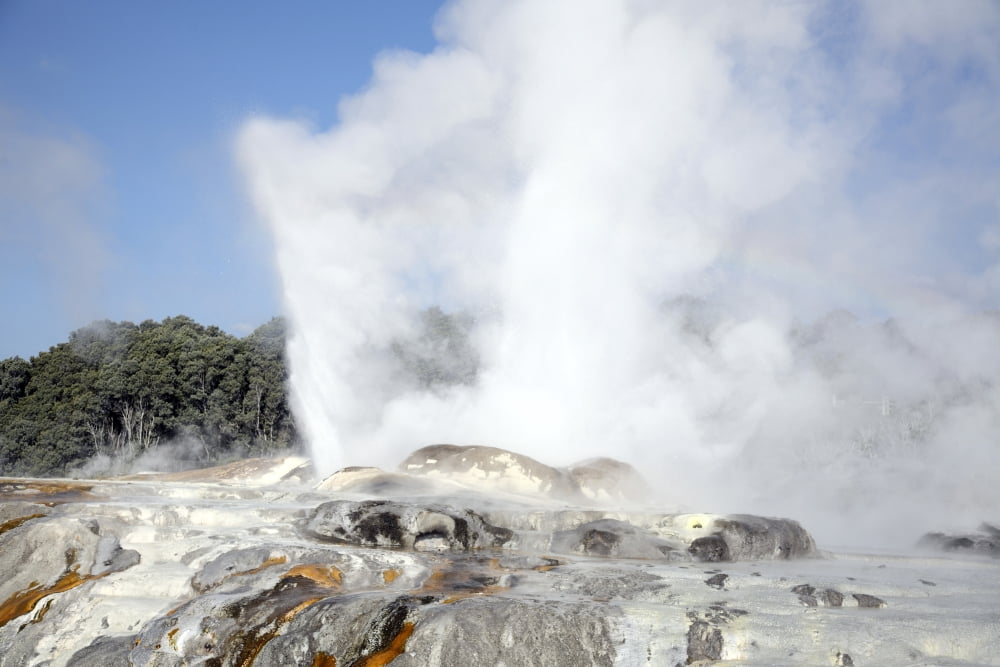 Pohutu and Prince of Wales Feathers Geyser Whakarewarewa Rotorua New Zealand Canvas Art - Richard RoscoeStocktrek Images (35 x 23)