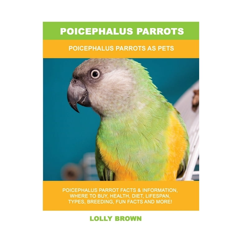 Parrot, Description, Types, & Facts