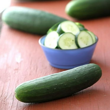 Poinsett 76 Cucumber Seed - 1 g ~30 Seeds - Heirloom, Open Pollinated, Non-GMO, Farm & Vegetable Gardening Seeds