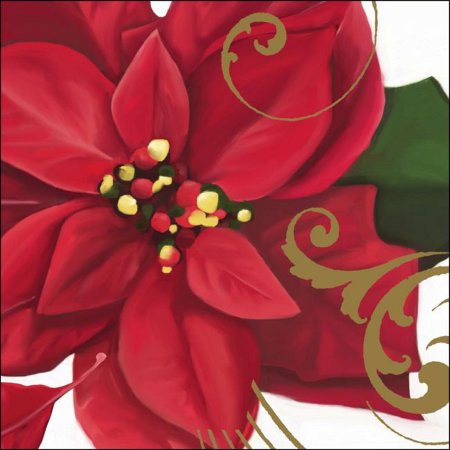 Creative Converting Poinsettia Breeze Disposable Napkins, 16 Count