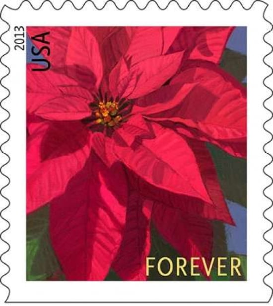 Poinsettia Canvas Art - US POSTAL SERVICE (24 x 24)