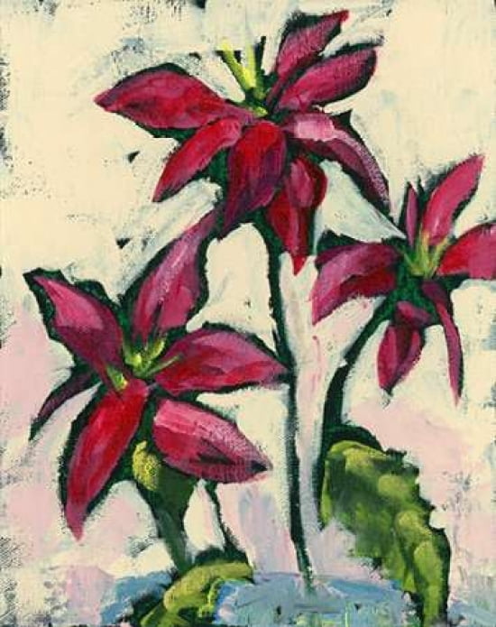 Poinsettia I Canvas Art - Pamela J Wingard (22 x 28)