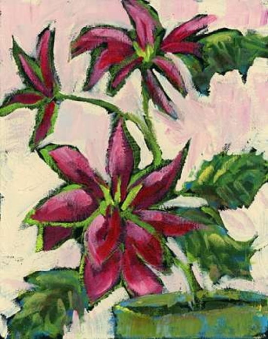 Poinsettia II Canvas Art - Pamela J Wingard (22 x 28)