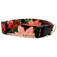 thumbnail image 1 of Poinsettia Leaves Dog Collar - Size - Small, 1 of 1