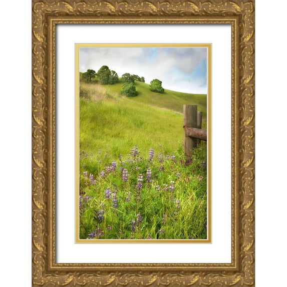Poinski, Dianne 11x14 Gold Ornate Wood Framed with Double Matting Museum Art Print Titled - Wildflower Hill 4