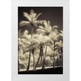thumbnail image 1 of Poinski, Dianne 11x14 White Modern Wood Framed Museum Art Print Titled - White Palms 2, 1 of 4