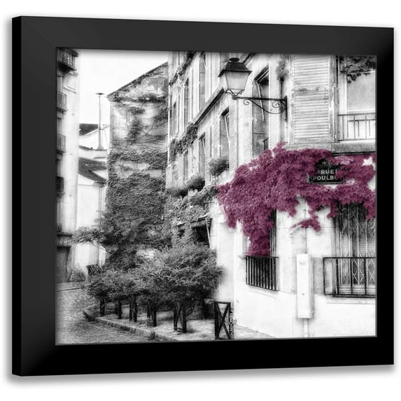 Poinski, Dianne 12x12 Black Modern Framed Museum Art Print Titled - Eggplant RuePoulbo 2