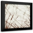 thumbnail image 1 of Poinski, Dianne 12x12 Black Modern Framed Museum Art Print Titled - Moody Bluffgrass 2, 1 of 5