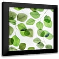 thumbnail image 1 of Poinski, Dianne 12x12 Black Modern Framed Museum Art Print Titled - Verdant Leaves 2, 1 of 5
