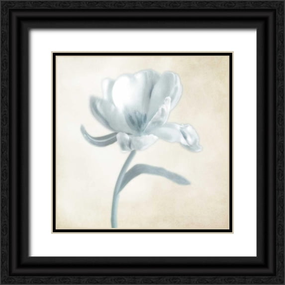 Poinski, Dianne 12x12 Black Ornate Wood Framed with Double Matting Museum Art Print Titled - Blue Ivory Blossom 1