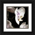 thumbnail image 1 of Poinski, Dianne 12x12 Black Ornate Wood Framed with Double Matting Museum Art Print Titled - Delicate White Orchids 3, 1 of 4