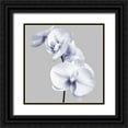 thumbnail image 1 of Poinski, Dianne 12x12 Black Ornate Wood Framed with Double Matting Museum Art Print Titled - Lilac Orchids 3, 1 of 4