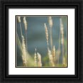 thumbnail image 1 of Poinski, Dianne 12x12 Black Ornate Wood Framed with Double Matting Museum Art Print Titled - Northwest Morning I, 1 of 4