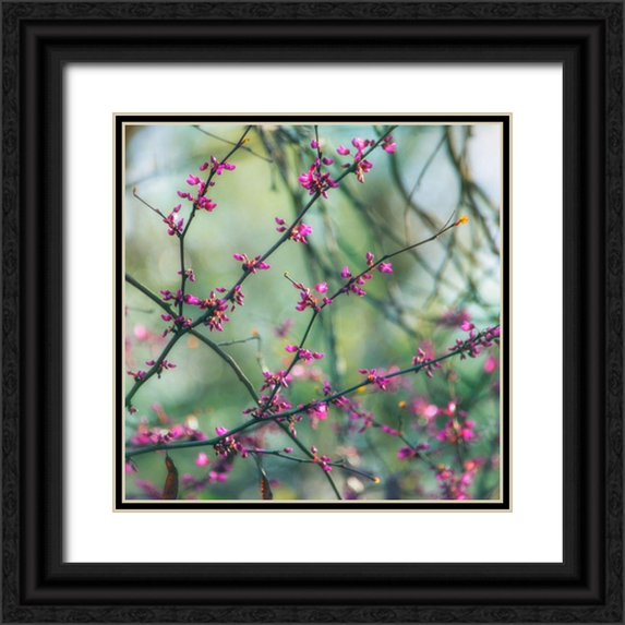 Poinski, Dianne 12x12 Black Ornate Wood Framed with Double Matting Museum Art Print Titled - Spring Branches