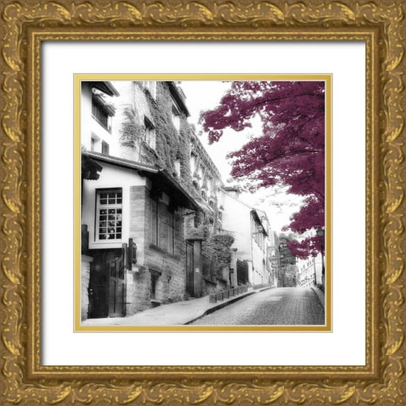 Poinski, Dianne 12x12 Gold Ornate Wood Framed with Double Matting Museum Art Print Titled - Eggplant Montmartre
