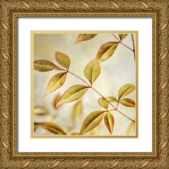 Poinski, Dianne 12x12 Gold Ornate Wood Framed with Double Matting Museum Art Print Titled - Golden Leaves 2