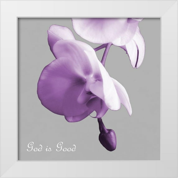Poinski, Dianne 12x12 White Modern Wood Framed Museum Art Print Titled - Godly Good Orchids