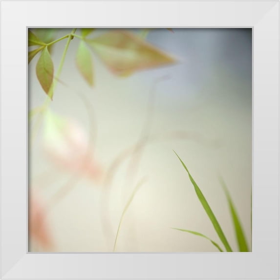 Poinski, Dianne 12x12 White Modern Wood Framed Museum Art Print Titled - Warm Breeze 3