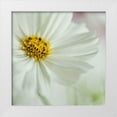 thumbnail image 1 of Poinski, Dianne 12x12 White Modern Wood Framed Museum Art Print Titled - White Cosmos, 1 of 4