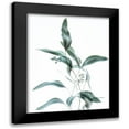thumbnail image 1 of Poinski, Dianne 12x14 Black Modern Framed Museum Art Print Titled - Gentle Botanical 2, 1 of 5