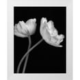 thumbnail image 1 of Poinski, Dianne 12x14 White Modern Wood Framed Museum Art Print Titled - Black and White Roses 3, 1 of 4