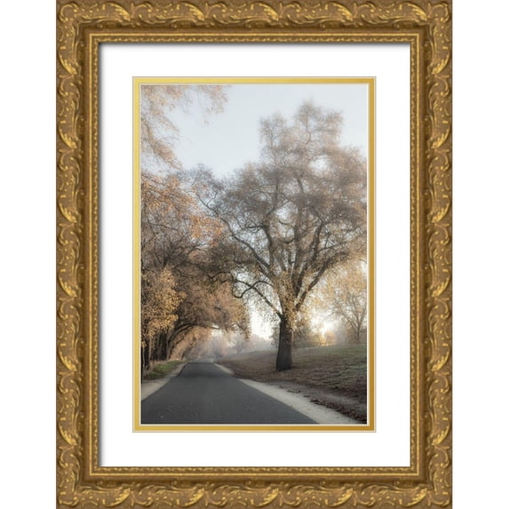 Poinski, Dianne 13x18 Gold Ornate Wood Framed with Double Matting Museum Art Print Titled - The Road Less Traveled 2
